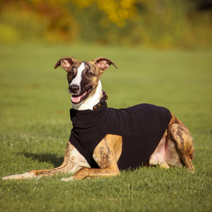 Extra Warm Hound Tee in Black