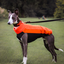 Load image into Gallery viewer, Cosy Hound Fleece in Neon Orange