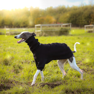 Winter Hound Jumper