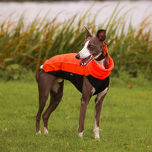 Load image into Gallery viewer, Cosy Hound Fleece in Neon Orange