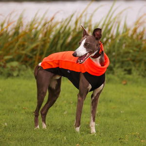 Cosy Hound Fleece in Neon Orange
