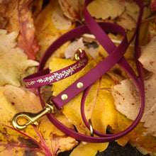 Load image into Gallery viewer, Wine &amp; Gold House Collar