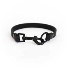 Load image into Gallery viewer, Black House Collar