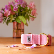 Load image into Gallery viewer, Atacama Martingale in Flamingo