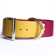 Load image into Gallery viewer, Chunky Double Colour Collars (Small)