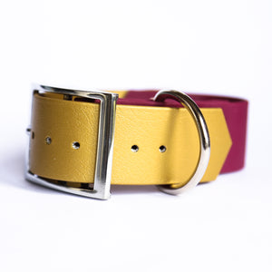 Chunky Double Colour Collars (Small)