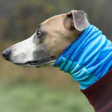 Load image into Gallery viewer, Super-soft Hound Snood in Blue Ombré
