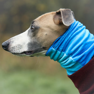 Super-soft Hound Snood in Blue Ombré