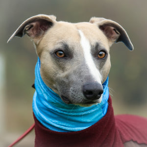 Super-soft Hound Snood in Blue Ombré