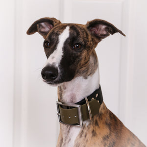 Chunky Double Colour Collars (Small)