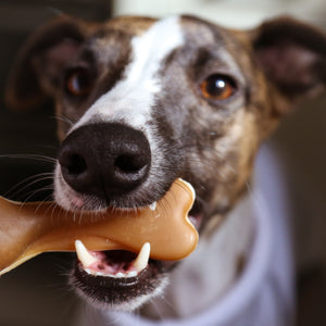 Peanut Butter Dual Bones