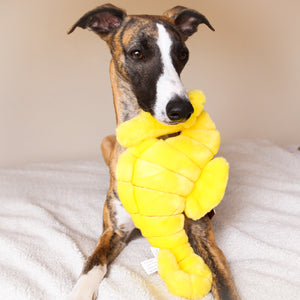 Stella Seahorse