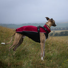 Load image into Gallery viewer, Softshell Storm Jacket in Bordeaux Red