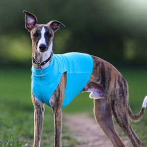 Turquoise Cotton Tee
