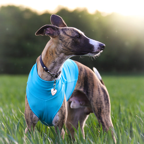 Turquoise Cotton Tee