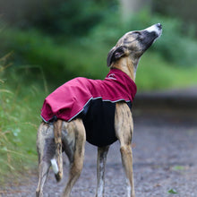 Load image into Gallery viewer, Softshell Storm Jacket in Bordeaux Red