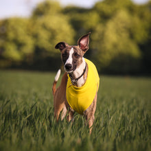 Load image into Gallery viewer, Dandelion Yellow Cotton Tee