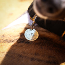 Load image into Gallery viewer, Gold Coin Personalised ID Tag