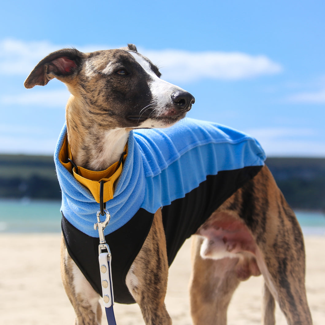 Cosy Hound Fleece in Sky Blue