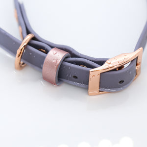 Bramble ID Collar in Grey