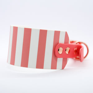 Peachy Sailor Hound Collar