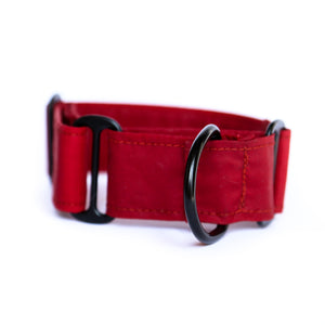 Waxed Cotton Martingale in Wine