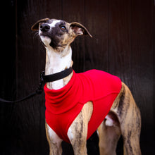 Load image into Gallery viewer, Extra Warm Hound Tee in Red