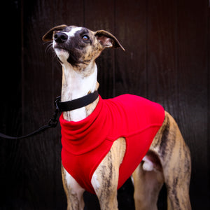 Extra Warm Hound Tee in Red