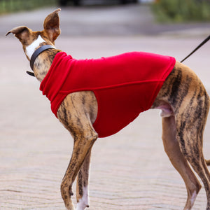 Extra Warm Hound Tee in Red