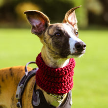 Load image into Gallery viewer, Handmade Hound Snoods