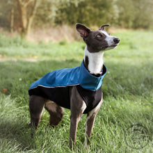 Load image into Gallery viewer, Softshell Storm Jacket in Marine Turquoise