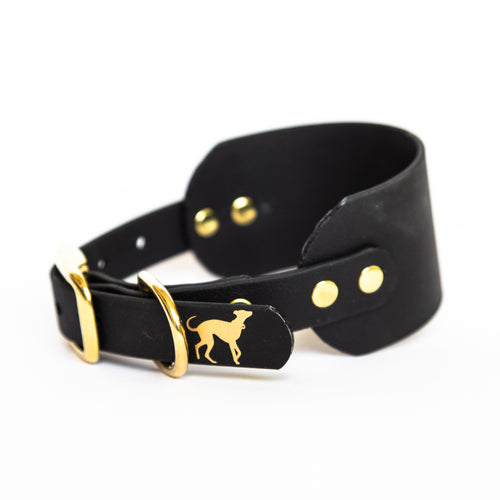 Essential Black & Gold Hound Collar