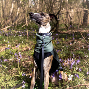 Essential Black & Silver Hound Collar