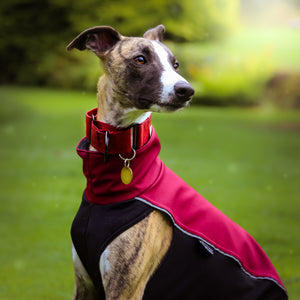 Softshell Storm Jacket in Bordeaux Red