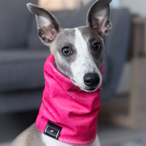 Super-soft Hound Snood in Pink Ombré